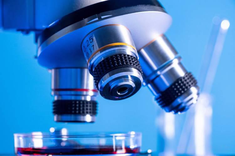 Cerebrolysin Capsule use | Shaanxi BLOOM Tech Co., Ltd