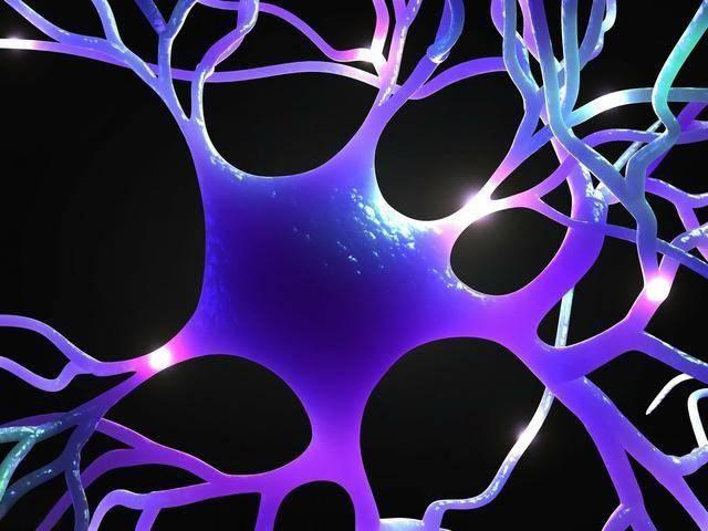 SLU-PP-332 buy | Shaanxi BLOOM Tech Co., Ltd