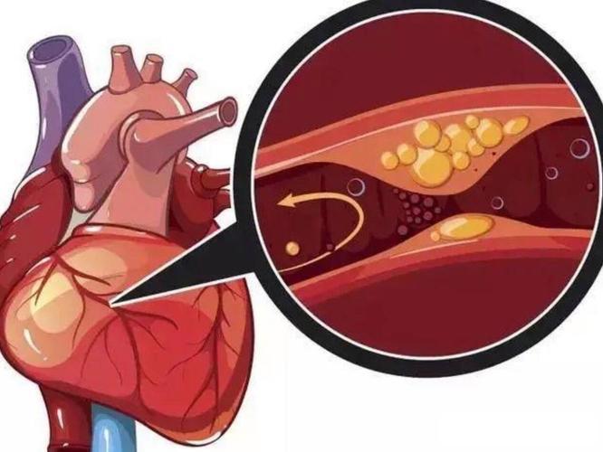 Endomorphin-1 myocardial infarct  | Shaanxi BLOOM Tech Co., Ltd