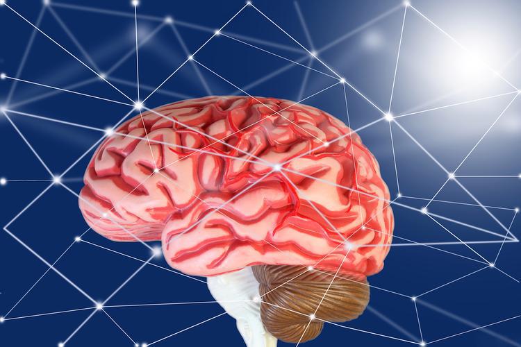 Idebenone cost | Shaanxi Bloom Tech