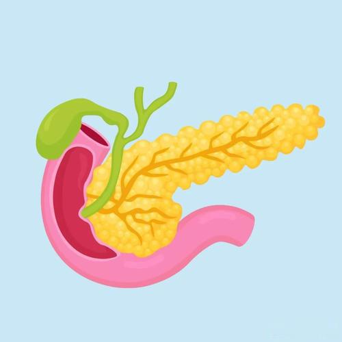 Secretin blood glucose regulation | Shaanxi BLOOM Tech Co., Ltd