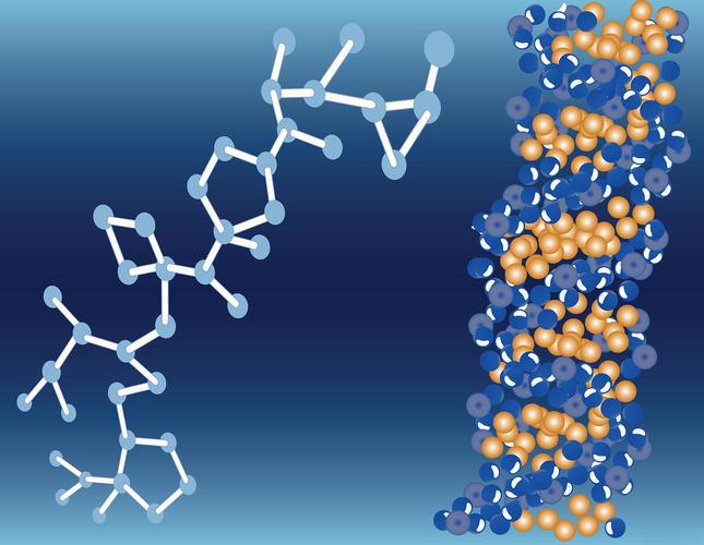 Diltiazem price | Shaanxi BLOOM Tech Co., Ltd Diltiazem price | Shaanxi BLOOM Tech Co., Ltd