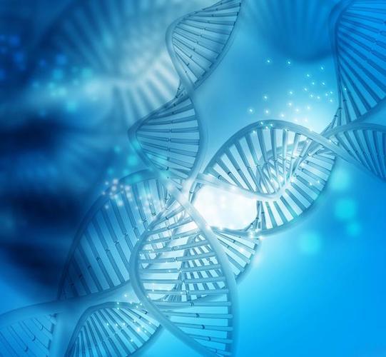 Gonadorelin buy | Shaanxi BLOOM Tech Co., Ltd