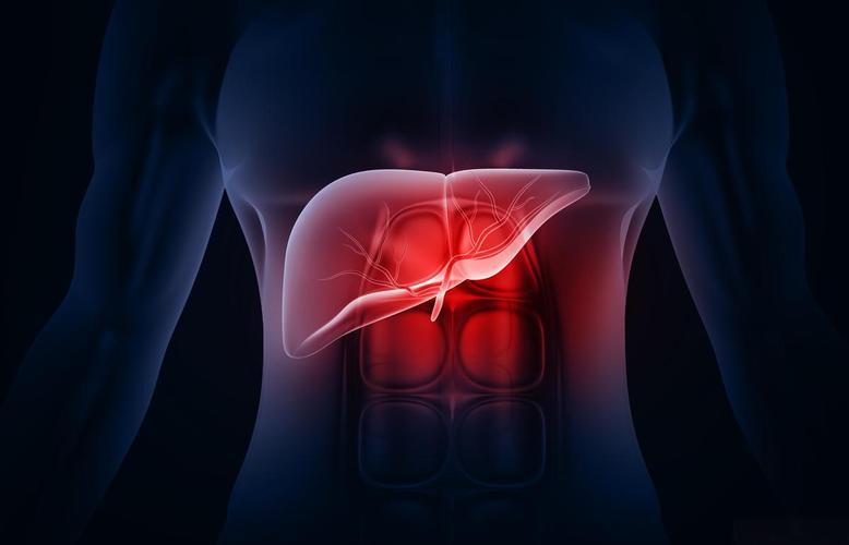 5-Amino-1MQ hepatic triglyceride | Shaanxi BLOOM Tech Co., Ltd 5-Amino-1MQ hepatic triglyceride | Shaanxi BLOOM Tech Co., Ltd