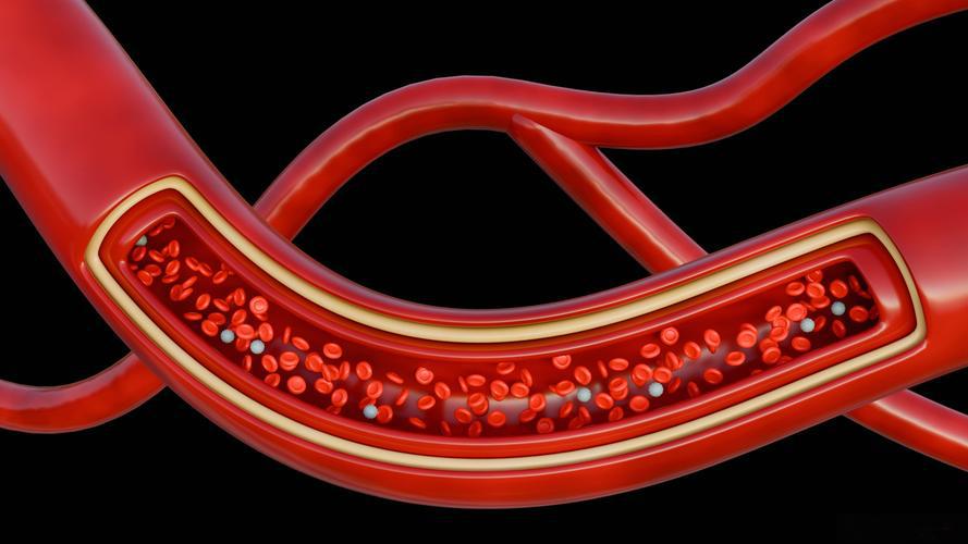 Orforglipron online | Shaanxi BLOOM Tech Co., Ltd Orforglipron online | Shaanxi BLOOM Tech Co., Ltd