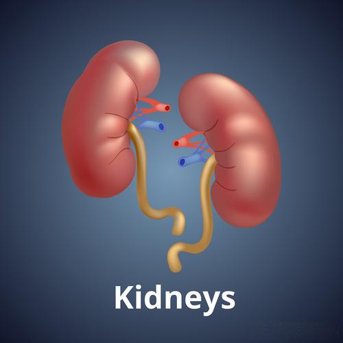 Desmopressin cost | Shaanxi BLOOM Tech Co., Ltd Desmopressin cost | Shaanxi BLOOM Tech Co., Ltd