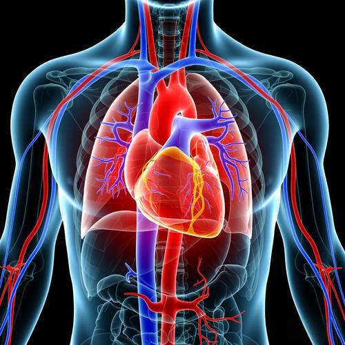 Desmopressin Strictly control contraindications | Shaanxi BLOOM Tech Co., Ltd