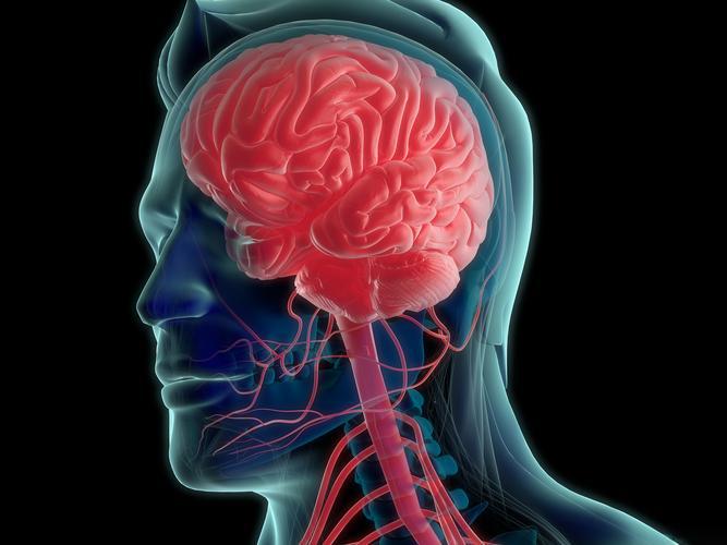 Pramlintide cost | Shaanxi BLOOM Tech Co., Ltd