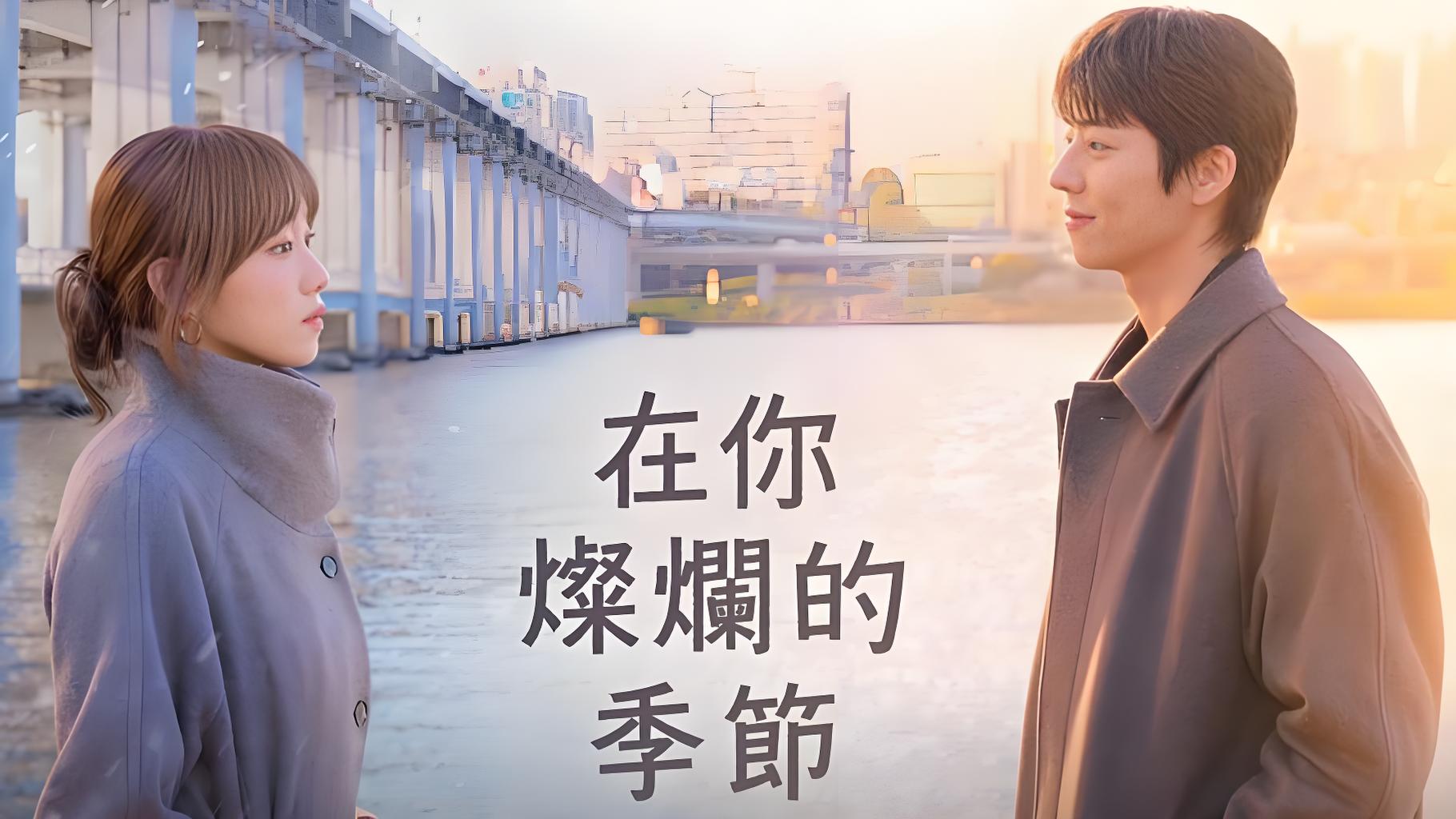 在你的灿烂季节海报