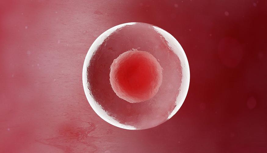 Cetrorelix acetate online | Shaanxi BLOOM Tech Co., Ltd Cetrorelix acetate online | Shaanxi BLOOM Tech Co., Ltd