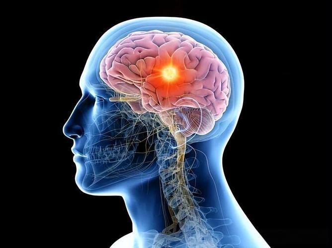 Pinealon upregulation | Shaanxi BLOOM Tech Co., Ltd Pinealon upregulation | Shaanxi BLOOM Tech Co., Ltd