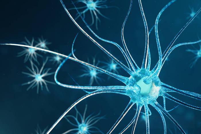 Pinealon Key triggers | Shaanxi BLOOM Tech Co., Ltd