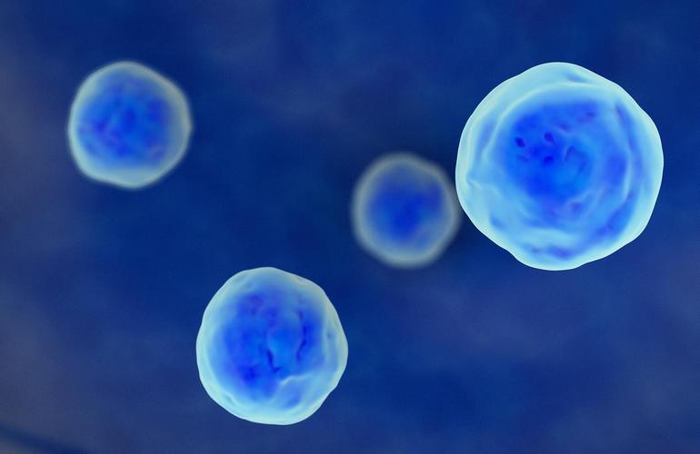 N-Acetyl-L-Cysteine Healthcare Applications | Shaanxi BLOOM Tech Co., Ltd N-Acetyl-L-Cysteine Healthcare Applications | Shaanxi BLOOM Tech Co., Ltd