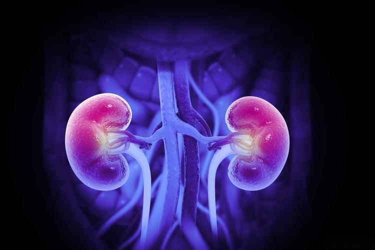 Spermidine buy | Shaanxi BLOOM Tech Co., Ltd Spermidine buy | Shaanxi BLOOM Tech Co., Ltd