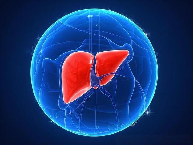 Bioglutide uses | Shaanxi BLOOM Tech Co., Ltd Bioglutide uses | Shaanxi BLOOM Tech Co., Ltd