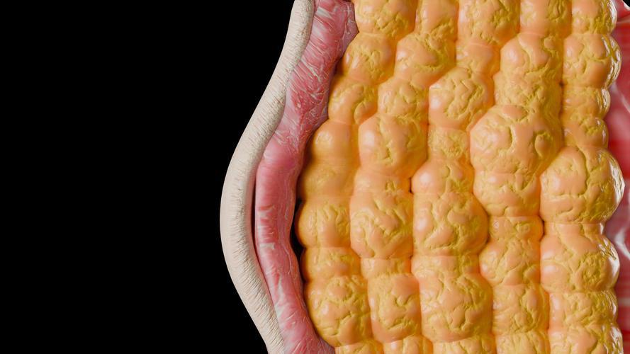 5-Amino-1MQ purchase | Shaanxi BLOOM Tech Co., Ltd 5-Amino-1MQ purchase | Shaanxi BLOOM Tech Co., Ltd