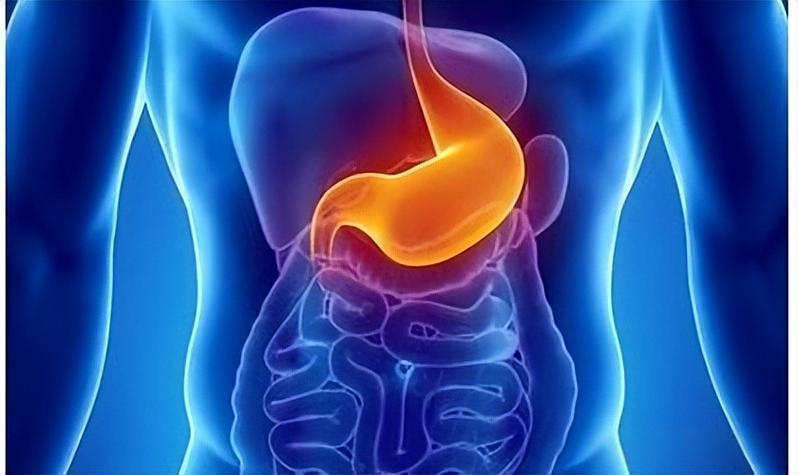 Bioglutide NA-931 Delayed Gastric Emptying | Shaanxi BLOOM Tech Co., Ltd Bioglutide NA-931 Delayed Gastric Emptying | Shaanxi BLOOM Tech Co., Ltd