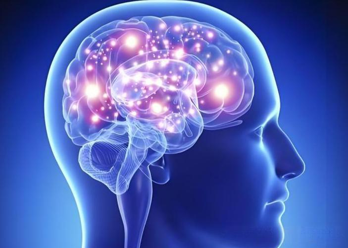 5-amino-1mq preclinical investigations | Shaanxi BLOOM Tech Co., Ltd 5-amino-1mq preclinical investigations | Shaanxi BLOOM Tech Co., Ltd