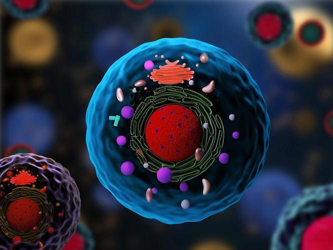 5-amino-1mq online | Shaanxi BLOOM Tech Co., Ltd