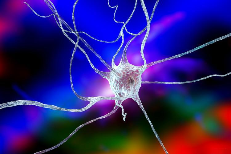 Ziconotide for sale | Shaanxi BLOOM Tech Co., Ltd 