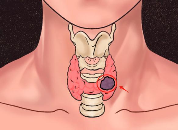 Protirelin for sale | Shaanxi BLOOM Tech Co., Ltd Protirelin for sale | Shaanxi BLOOM Tech Co., Ltd