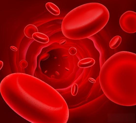l arginine cost | Shaanxi BLOOM Tech Co., Ltd