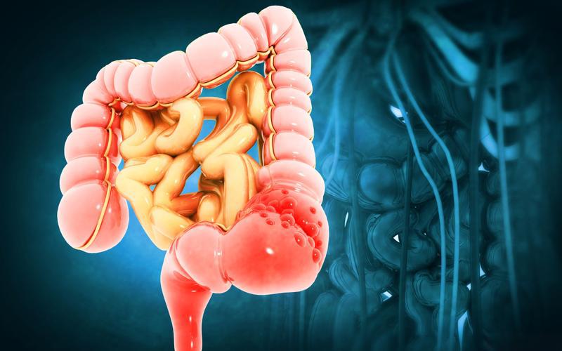 Teduglutide price | Shaanxi BLOOM Tech Co., Ltd