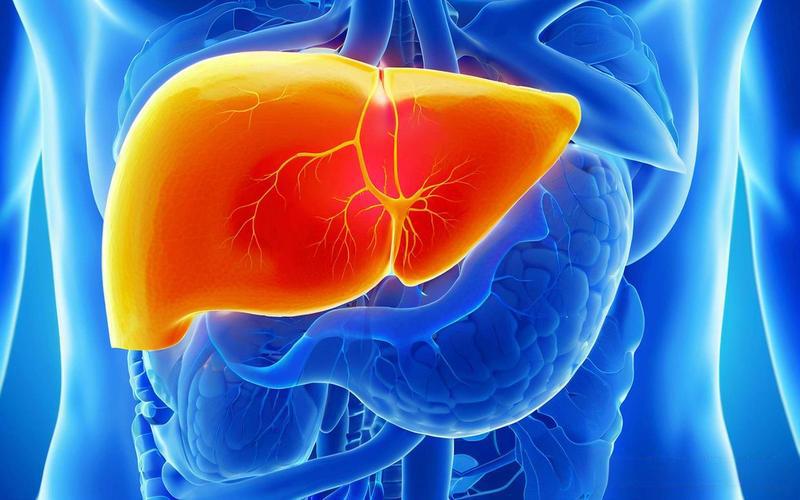 SLU-PP-332 Glucose Homeostasis Studies | Shaanxi BLOOM Tech Co., Ltd SLU-PP-332 Glucose Homeostasis Studies | Shaanxi BLOOM Tech Co., Ltd