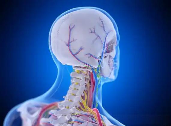 Angiotensin buy | Shaanxi BLOOM Tech Co., Ltd