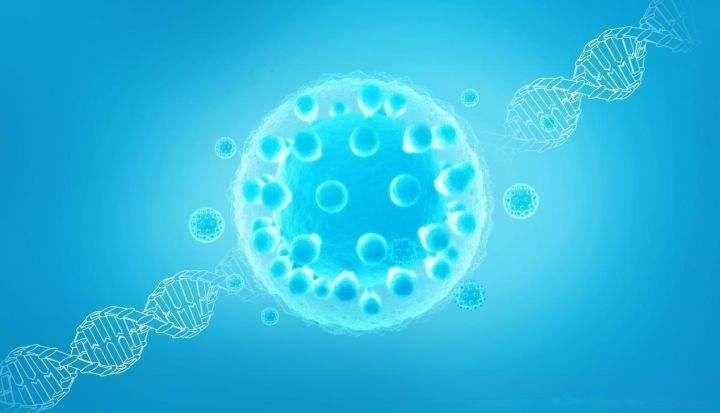 Bioglutide NA-931 Vitro Systems | Shaanxi BLOOM Tech Co., Ltd