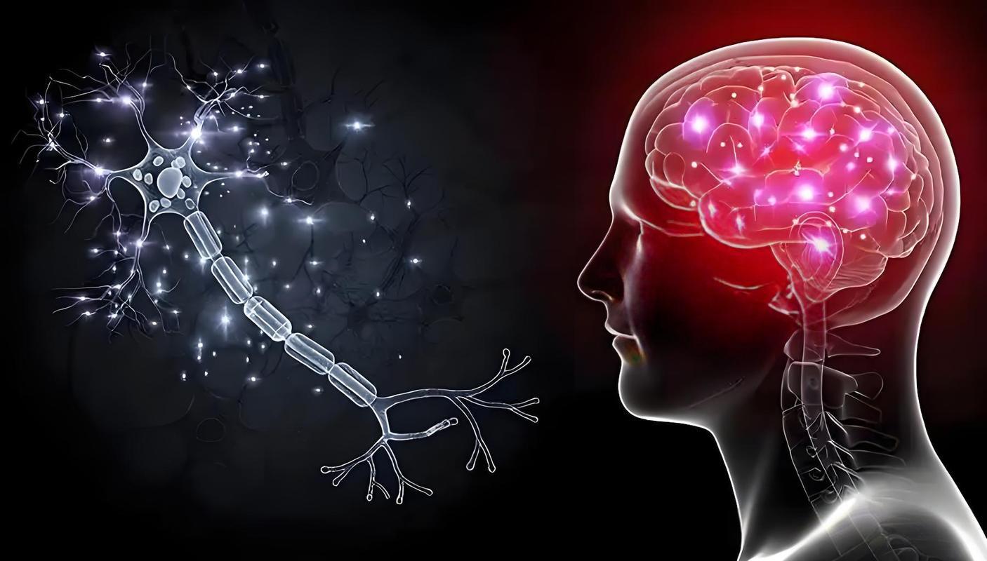 Seractide spinal cord injury | Shaanxi BLOOM Tech Co., Ltd