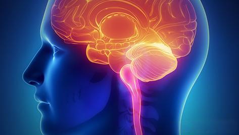 Bioglutide NA-931 Supporting Stress-Related Metabolic Challenges | Shaanxi BLOOM Tech Co., Ltd Bioglutide NA-931 Supporting Stress-Related Metabolic Challenges | Shaanxi BLOOM Tech Co., Ltd
