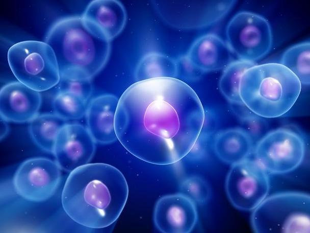 SLU-PP-332 Examining Signal Transduction Pathways | Shaanxi BLOOM Tech Co., Ltd SLU-PP-332 Examining Signal Transduction Pathways | Shaanxi BLOOM Tech Co., Ltd