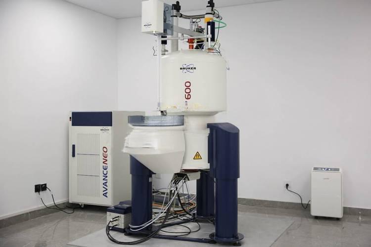 4-Iodophenylboronic acid Detection Principle | Shaanxi BLOOM Tech Co., Ltd
