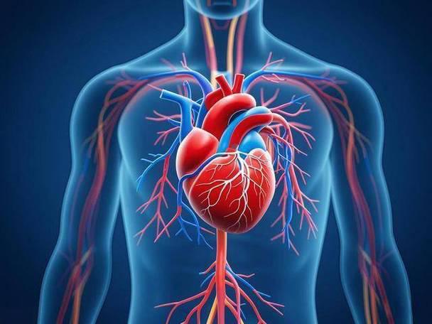 Wheat Oligopeptide Blood Glucose-Regulating Health Foods | Shaanxi BLOOM Tech Co., Ltd