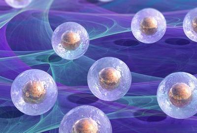 SNAP 8 enzymatic hydrolysis | Shaanxi BLOOM Tech Co., Ltd
