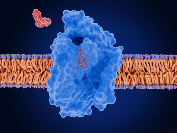 Slu-PP-332 fission proteins | Shaanxi BLOOM Tech Co., Ltd Slu-PP-332 fission proteins | Shaanxi BLOOM Tech Co., Ltd
