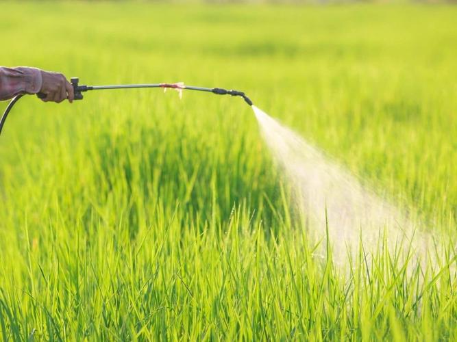 3-Amino-5-methylpyrazole Applications In Pesticides | Shaanxi BLOOM Tech Co., Ltd 3-Amino-5-methylpyrazole Applications In Pesticides | Shaanxi BLOOM Tech Co., Ltd