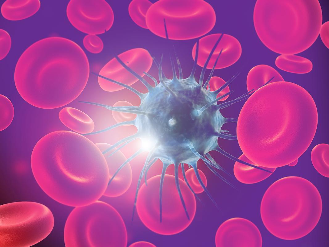 GS-441524 Long-Term Viral Clearance Considerations | Shaanxi BLOOM Tech Co., Ltd GS-441524 Long-Term Viral Clearance Considerations | Shaanxi BLOOM Tech Co., Ltd
