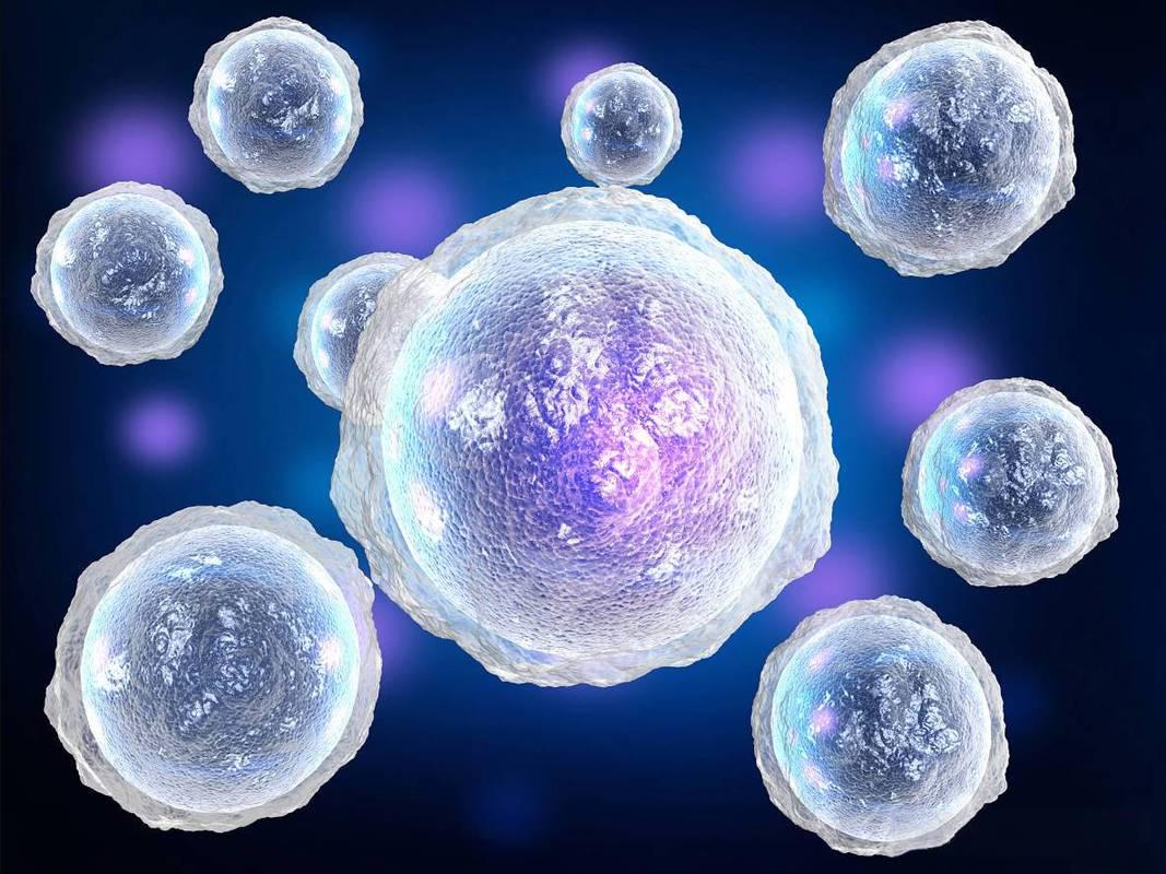 Fish Collagen Peptide immunogenicity | Shaanxi BLOOM Tech Co., Ltd Fish Collagen Peptide immunogenicity | Shaanxi BLOOM Tech Co., Ltd