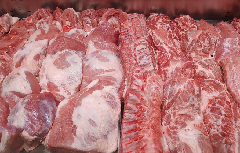 Fish Collagen Peptide aerobic bacteria | Shaanxi BLOOM Tech Co., Ltd