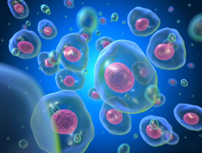 Bird's Nest Peptide purchase | Shaanxi BLOOM Tech Co., Ltd