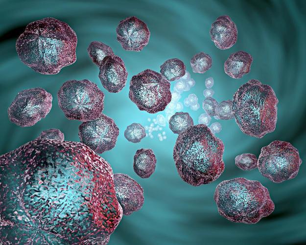 Cerebrolysin purchase | Shaanxi BLOOM Tech Co., Ltd Cerebrolysin purchase | Shaanxi BLOOM Tech Co., Ltd