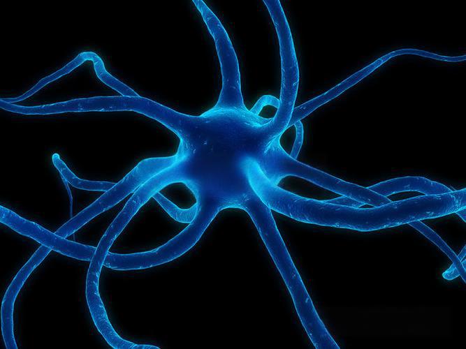 Bioglutide purchase | Shaanxi BLOOM Tech Co., Ltd Bioglutide purchase | Shaanxi BLOOM Tech Co., Ltd