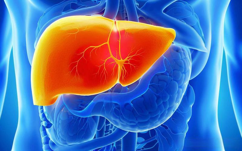 octreotide acetate Metabolism And Excretion | Shaanxi BLOOM Tech Co., Ltd