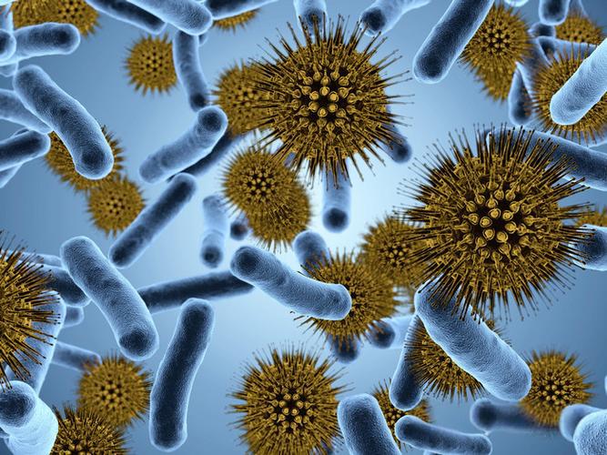Melittin Bacterial Infection | Shaanxi BLOOM Tech Co., Ltd
