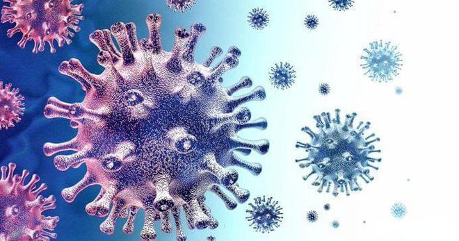 GS-441524 viruses | Shaanxi BLOOM Tech Co., Ltd