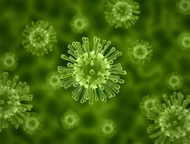 GS-441524 antiviral ideas | Shaanxi BLOOM Tech Co., Ltd GS-441524 antiviral ideas | Shaanxi BLOOM Tech Co., Ltd