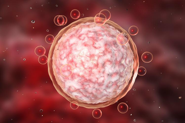 Gonadorelin triggers follicle maturation | Shaanxi BLOOM Tech Co., Ltd Gonadorelin triggers follicle maturation | Shaanxi BLOOM Tech Co., Ltd
